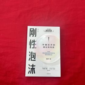 刚性泡沫（增订版）