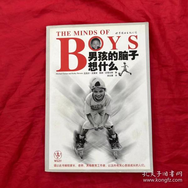 THE MINDS OF BOYS 男孩的脑子想什么