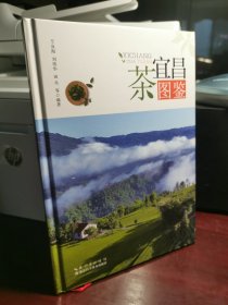 宜昌茶图鉴