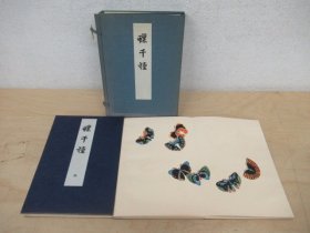 神坂雪佳   蝶千种    全2册  48图   彩色木版刷    折贴    画册25*18cm   手褶木版画   浮世绘     蝶千種　芸艸堂   琳派   図案  画譜