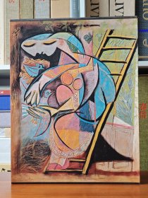 现代世界美术全集超宽版 第14卷 毕加索 PICASSO 大8开精装 油画 抽象画 画集 国内现货9品