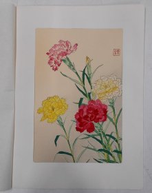 河原崎奖堂   日本的花    康乃馨   手褶木版画浮世绘   画芯 35*23cm   芸艸堂版  花鸟画   博物画   河原崎奨堂   日本の花