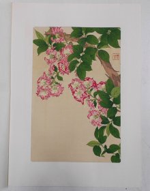 河原崎奖堂   日本的花    紫藤花   手褶木版画浮世绘   画芯 35*23cm   芸艸堂版  花鸟画   博物画   河原崎奨堂   日本の花