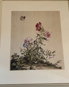 清 郎世宁仙萼长春图 二玄社原色原大精印 全16幅8开活页额装绢本册页 故宫博物院藏 工笔花卉 花鸟画 日本直发包邮9品