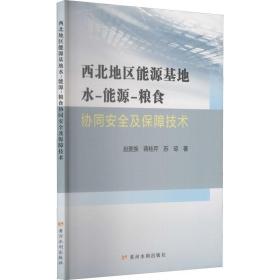 西北地区能源基地水能源粮食协同安全及保障技术