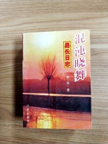 混沌晓舞: 县长日志【一版一印】【内略有破损】
