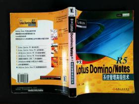 中文Lotus Domino/Notes R5系统