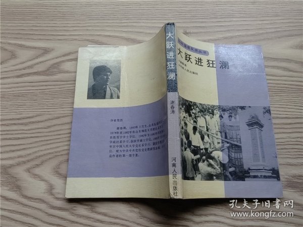 40年国是反思丛书 ：大跃进狂澜