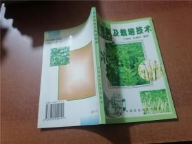 芽苗菜及栽培技術(shù)