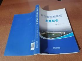 武汉临空经济区发展报告