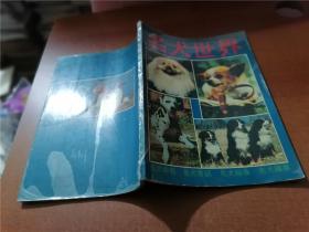 名犬世界
