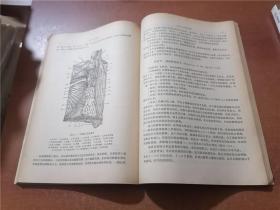 家畜外科学（上下）