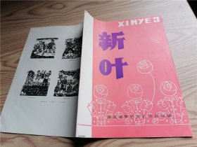 新叶 3 湖北省军区文艺作品选编