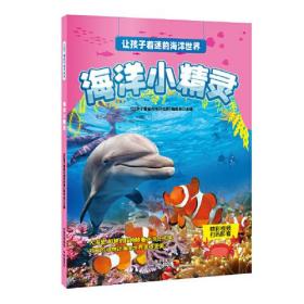 让孩子着迷的海洋世界：海洋小精灵