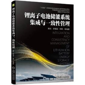 储能科学与技术丛书：锂离子电池储能系统集成与一致性管理