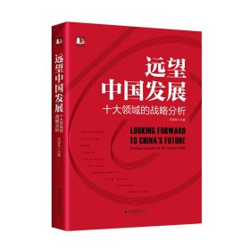 远望中国发展——十大领域的战略分析