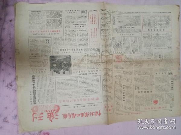 中国村镇百业信息报（渔刊）试刊号