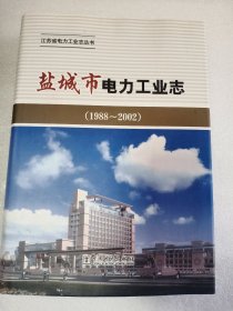 盐城市电力工业志 (1988~2002)    硬精装      16开        529页       一版一印      印16000本    网店没有的图书可站内留言 免费代寻各姓氏家谱 族谱 宗谱 地方志等