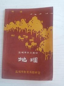 盐城市乡土教材----地理    32开     79页          网店没有的图书可站内留言 免费代寻家谱 族谱 宗谱 地方志等