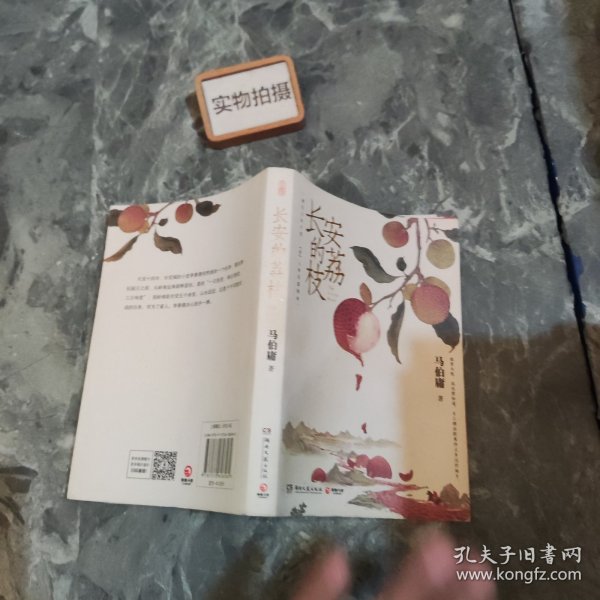 长安的荔枝（马伯庸备受好评的历史小说，一骑红尘妃子笑“有”人知是荔枝来，影视改编中即将上线）