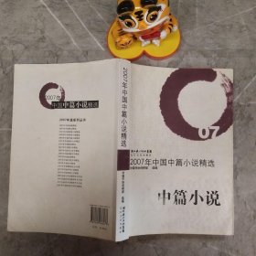 2007年中国中篇小说精选：中篇小说