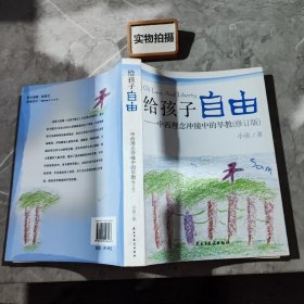 给孩子自由：中西理念冲撞中的早教 ，