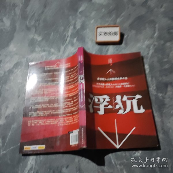 浮沉：最激励人心的职场生存小说