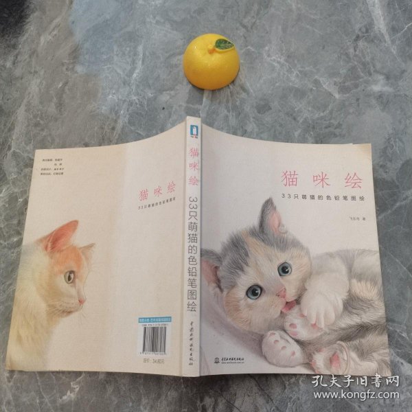 猫咪绘：33只萌猫的色铅笔图绘