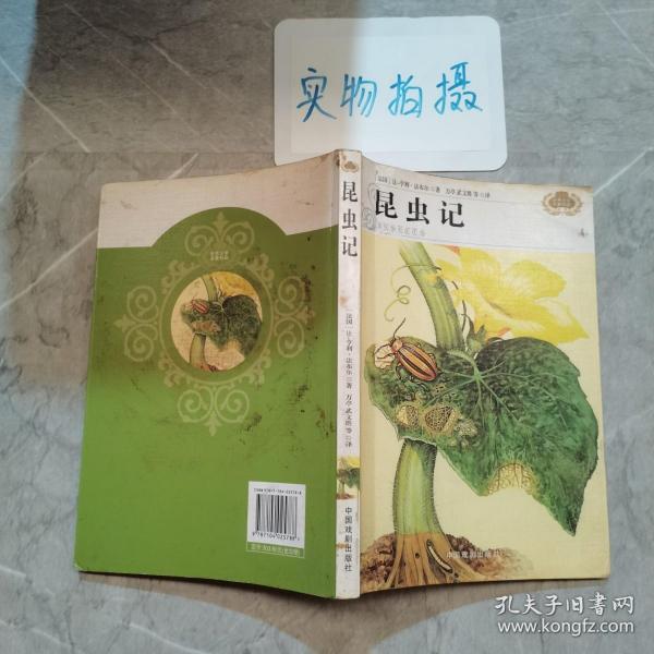 麦琪的礼物