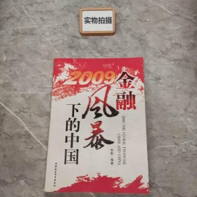 2009金融风暴下的中国