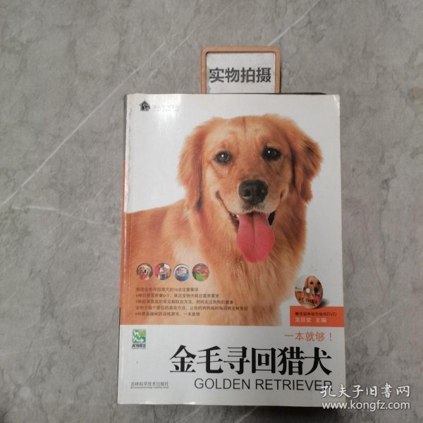 金毛寻回猎犬