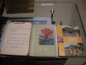 路希（著名话剧表演艺术家，天津人民艺术剧院一级演员、编剧、导演）。日记本3册页数为估算。请看品相描述！