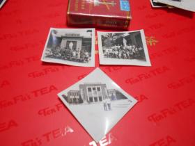 时期照片3枚：毛主席巨像前，宣传画前留影（都带语录、标语）。戴袖标、像章，手握红宝书。
菱形这枚后面建筑物多标语，台阶位置“打倒刘**”