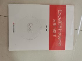 Excel在审计实务中的应用与操作（附光盘）