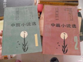 1987中篇小说选（1、2）