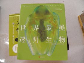 世界最美透明生物