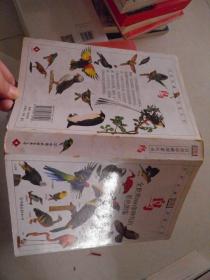 DK自然珍藏图鉴丛书：鸟