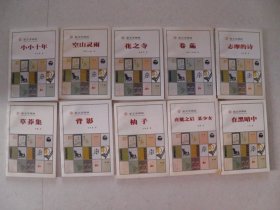 新文学碑林：小小少年、空山灵雨、花之寺、卷葹、志摩的诗、在黑暗中、喜筵之后 某少女、柚子、背影、草莽集（10本合售）