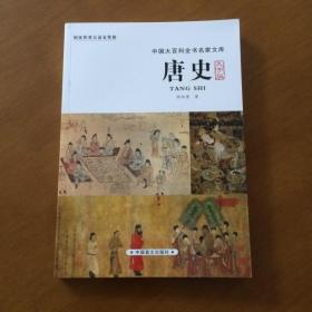 唐史（大字版）胡如雷中国盲文出版社