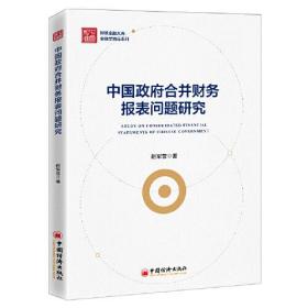 正版书 中国政府合并财务报表问题研究