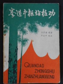 拳道中枢站桩功