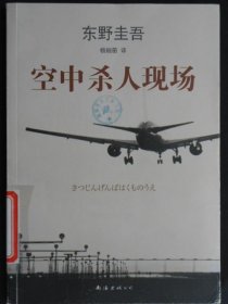 空中杀人现场