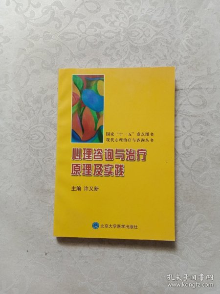 心理咨询与治疗原理及实践.