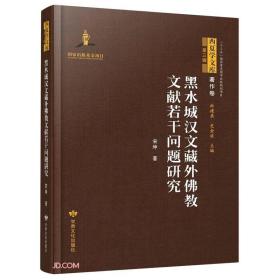 黑水城汉文藏外佛教文献若干问题研究