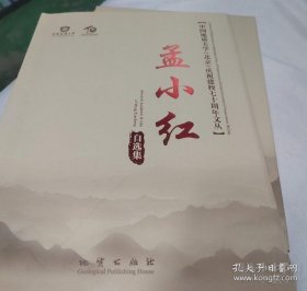 孟小红自选集