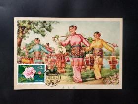 茶花担极限片