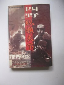 四野·纵横天下:第四野战军征战纪实