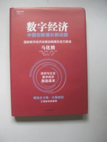 数字经济：中国创新增长新动能