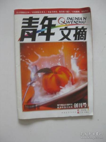 青年文摘创刊号2005年1