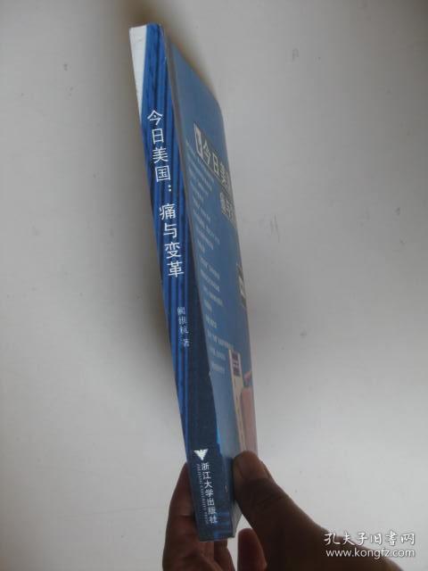 今日美国：痛与变革